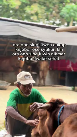 ti gede ni roso syukur e cahh✨ #foryou#peternakmuda#kulisapi#katakata#sobatngaret#sad  #fypシ#fyp#foryoupage 