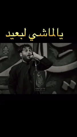 يالماشي لبعيد  #مرتضى_حرب #لطميه #karbala #كربلاء #muharram #ياحسين #محرم_عاشوراء 
