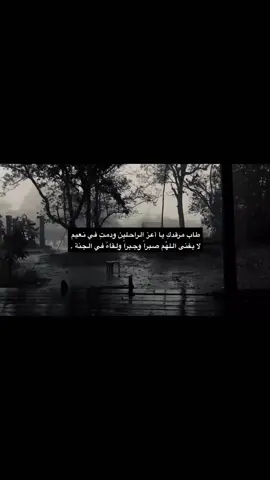 #صدقة_جارية#قران