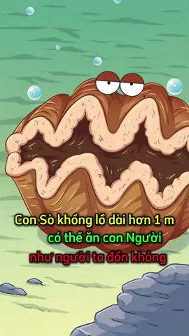 Bn từng ăn loài sò này chưa🗿#kienthuc #xhhhhhhhhhhhhhhhhhhhhhhh #giaitritiktok 