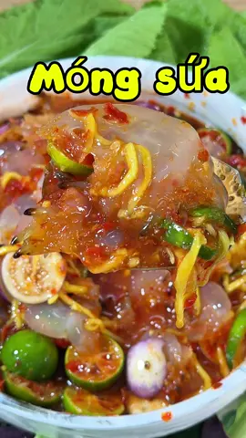 Móng sứa ngâm mắm nhĩ quá ngon mấy bà ơi #mongsua #suangammamnhicatac #suangammamnhi #LearnOnTikTok #rivew #food #tranmyle1992 #LearnOnTikTok #xh #rivewfood #hotrend 