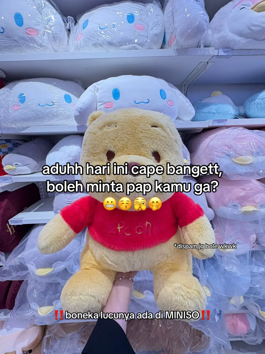 boneka lucunya ada di miniso #minisoidgoodthing #belanjadiminiso #minisoweekid #fyp #4u 