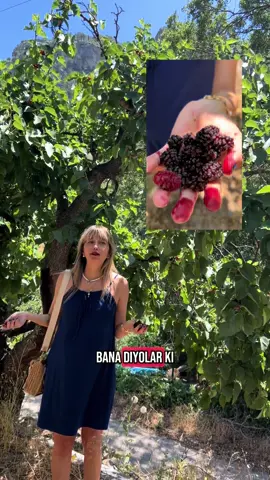 #polis #dut #komşu #hırsız #dut #suç #öğretmen #meyve #ekin #komik #köy #köydekidoğallık #eğlence #mersin 