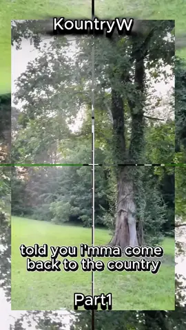 #kountrywayne #kountrywaynecomedy #fyp 