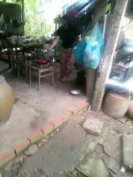 Tu 9 Kiếp mấy có còn Dâu như thế này Cười té 🤣
