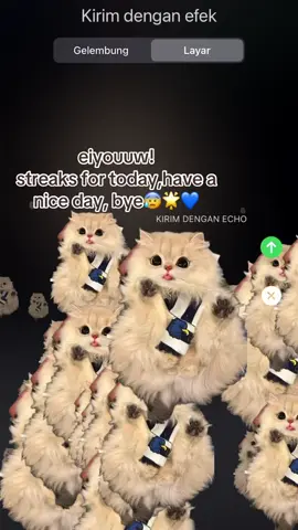 #streak #kucing #fyp #streakreminder #streaktiktok 