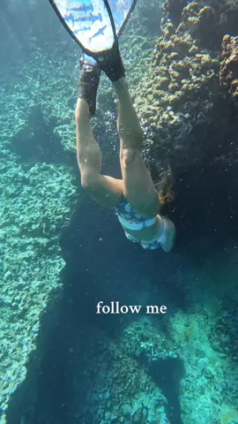 Let’s go!! 🌊 #ocean #oceanlovers #foryoupage #foryou #fyp #follow #tiktik #tiktokmademebuyit #tiktokpartners #tiktokpartner #bikini #bikinimodel #bikiniseason #girl #girls #girlswholift #girlssupportgirls #hawaii #hawaiitiktok 