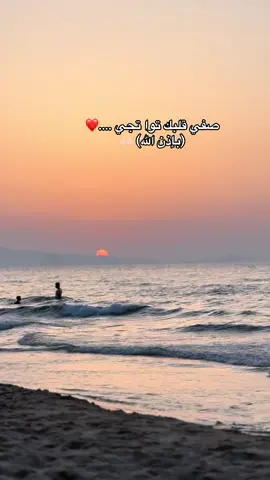 ##fyp##foryoupage##explore##pourtoi##trendingvideo##kala##annaba##الشعب_الصيني_ماله_حل😂😂