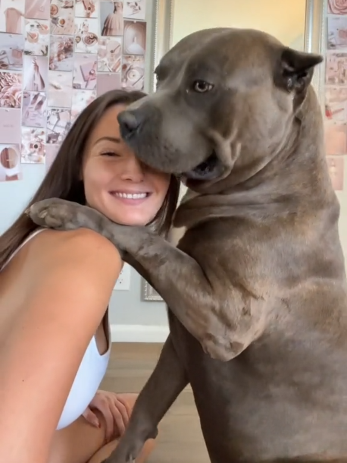 #headpush#denisefrazier#denisefraziervideo#doggo#doggy#dogoftiktok#fyp#makemefamous#mydogslife#fyppp #fypp#Missisippi #foryour#foryoupage❤️❤️ #doggosoftiktok#doglovers#xyzbcafyp #knot#moviestar