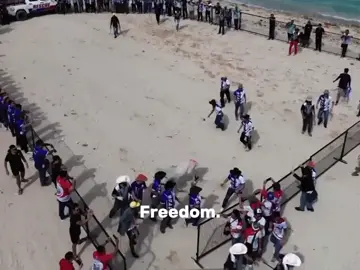 everyone wants freedom #cowwantsfreedom#makeitviral #fypシ゚viral 