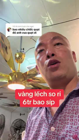 Trả lời @ngat  đẳng cấp ngôi nhà #vuaquat
