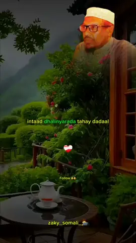 intaad dhalinyarada tahay dadaal-🫶❤️‍🩹🔥-#sheekhmustafe #zaky_somali_🧑‍💻 #dhiirigalin 