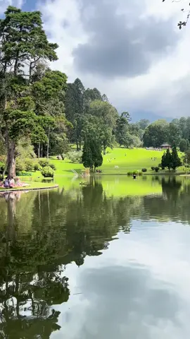 enak bgt ngelamun disini🥲 #kebunrayacibodas #cibodas #bogor