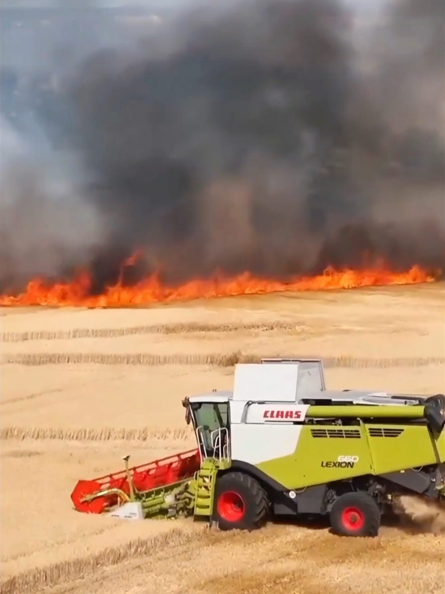 Harvest with problems 🔥🌾 | 📽Cr : @Mg Dodoo ➡️  Original video 📽 :     https://youtu.be/q17XViRPZGc?si=FSlVmL8YAdbUjpDV | #fires #problem #claas #johndeere #barley #harvest #agriculture #agri #agro #landwirtschaft #land #farmreels #farming #farm #farmer #farmlife #tractor #edit #quality #video #edits #tractors #heavy #machine  @🇩🇪Agrarblick HD🇩🇪  @𝘚𝘰𝘱𝘩𝘪𝘦🌾  @Bruni_agrar🍺🤙🤙🤝🌾🌾 