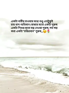 একটা নারীর চাওয়ার মধ্যে শুধু এতটুকুই চায় রাগ-অভিমান বোঝার মতো একটা পুরুষ একটা শিশুর মতো যত্ন নেওয়া পুরুষ, সব সহ্য করা একটা 