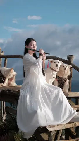 “Khi âm nhạc vang lên, đó là lúc tâm hồn được chữa lành…” Có những ngày lòng mình chẳng nói ra được điều gì, nhưng chỉ cần một bản nhạc vang lên – mọi cảm xúc như được tháo gỡ. Không cần lời an ủi, không cần ai hiểu, chỉ cần một giai điệu nhẹ nhàng chạm tới, tim mình tự biết bình yên. Âm nhạc kỳ lạ lắm – có thể đưa ta về những ký ức xa xôi, hoặc nâng ta dậy khỏi những ngày tưởng như không còn sức đứng lên. Những bản nhạc nhẹ, những lời ca dịu dàng, như tay ai đó đang vỗ về trái tim mệt mỏi này. Mỗi ngày mình đều mở nhạc, khi thiền, khi làm việc, hay đơn giản là lúc muốn trốn khỏi thế giới ồn ào. Bởi vì, âm nhạc không chỉ để nghe – mà còn để sống, để cảm, để tự chữa lành chính mình. Nếu hôm nay bạn mệt, hãy để một bản nhạc giúp bạn lặng lại. Mọi thứ rồi sẽ ổn thôi… thật đấy! #phapphucdichua #phaphuctamtueanh #chualanh #phatphapnhiemmau #dalat #phapphuc #xuhuong #viral #thiennhien #shorts @Kenhcuathithanh @Tiên Thanh @Nương nhờ cửa Phật 