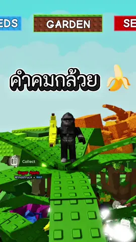 คำคมกล้วยยามเย็น #roblox #โรบอก #เพลง #มีม #มีมไทย 