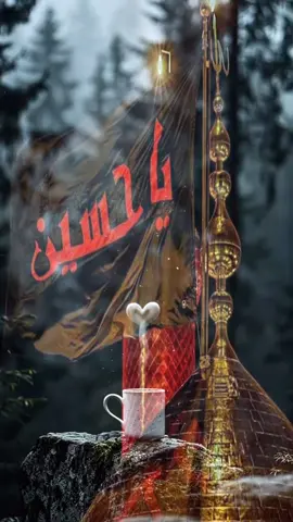 حسين لا تمشي بطريقه وانت غاطس بالحرام.... #ياحسين #كربلاء #بين_الحرمين #باسم_الكربلائي 