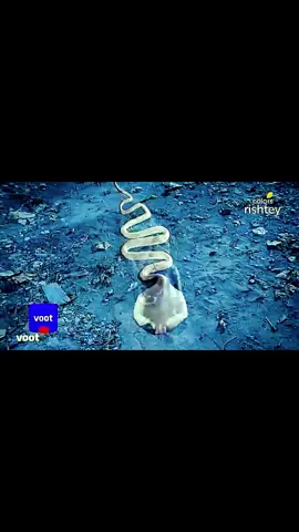 Naagin #naagin🔥trending #foryoupage #whattowatch #unfrezzmyaccount #growmyaccount #trending #tiktok #viralvideo #100millionviews 