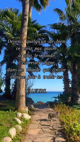 Devenir  quelqu'un  de  bien ce  n'est  pas  plaire à  tout  le  monde, C'est rester  digne dans un  monde  qui  t'invite chaque  jour à  trahir tes Valeurs #positivity #motivation #foryoupage #nature #beachday #fyp #optimis #valeur 