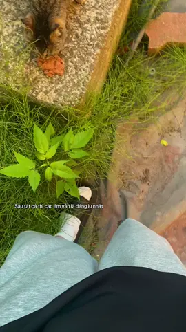 Chỉ cần cho ăn là sẽ ngồi im cho sờ , lúc buồn chạy ra cửa hàng tiện lợi mua ít đồ rồi ngồi nhìn em nó ăn , bản thân mình cũng được chữa lành 1 phần nào đó 🫶🏻#유학생🇰🇷🇻🇳 