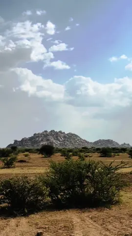 Buurtan magaceed?🤍😍#for #foryouu #hargeisa #burco #boorama #berbera #sool #sanaag  