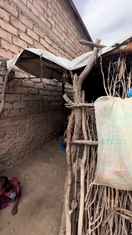 13 sano ayuu maxamed geedkan ku xiranyahay kadib diidmo uu kala kulmay qoyska uu gabadhoodu jeclaa,  maxamed iyo gabadha waxay isku barteen magaalada baladweyne, gabadha ayaa ka tagtay baladweyne waxayna reerkoodu u wareejiyeen gaalkacyo  balse mohamed ayaa ka daba baxay oo ugu tagay gaalkacyo oo ay jaceylkisa u guurtay asagoo reerkisa u sheegay in uu halkaas shaqo ka helay, Mohamed ayaa la qabsan waayay nolosha gaalkacyo wuxuuna isaga soo laabtay baladweyen gabadhii ayaana kaga soo horeysay baladweyne kadib reerka mohamed waxay doonteen gabadhii waxaana diiday oo gabadha ku qancisay in ay diido gabar walaashed ka weyn ahyd ugu dambeyn waana iska diiday guurka wiilkan, kadib xaalada mohamed caadi ma ahyn laakin maalintii uu maqlay guurka gabdhii uu jeclaa  xaaladan ayuu galay,  Dhawaan ayay ayada iyo curadkeeda soo booqdeen mohamed, balse isagu wuu gareysan yahay in ay guursatay lakiin xaalkisa caadi ma ahan , Haduu xariga furto wuxuu u ordayaa dhanka magaalada ka jirto gaalkacyo. Maanta ayaan warbixin kasoo diyaariyay ka fiiri page keyga Daahir qoslaaye iyo tiktok geyga qoslaaye77. Caawi yarkaan dhalin-yarada ah #qoslaaye_77 