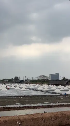 Vị mặn của muối Bạc Liêu sẽ mãi không thay đổi 🫶 #94baclieu #muoibaclieu #mientayquetoi #xuhuongtiktok 