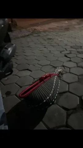 Malem minggon pak#fypシ #fyppppppppppppppppppppppp #fyp #ayammangon #ayambangkoksuper #ayambangkokindinesia #hobyayam #hoby 