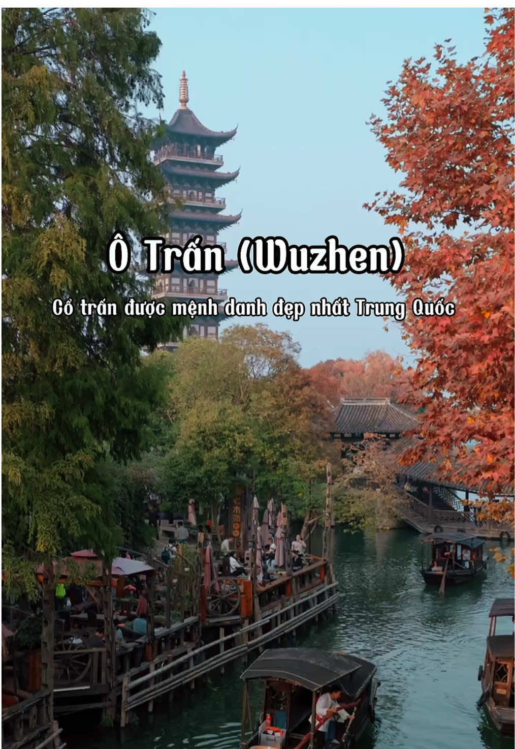🍂 Tin được không? Mùa thu ở Ô Trấn – đẹp như bước ra từ phim cổ trang! #ôtrấn #wuzhen #dulichtrungquoc #lucasgo 