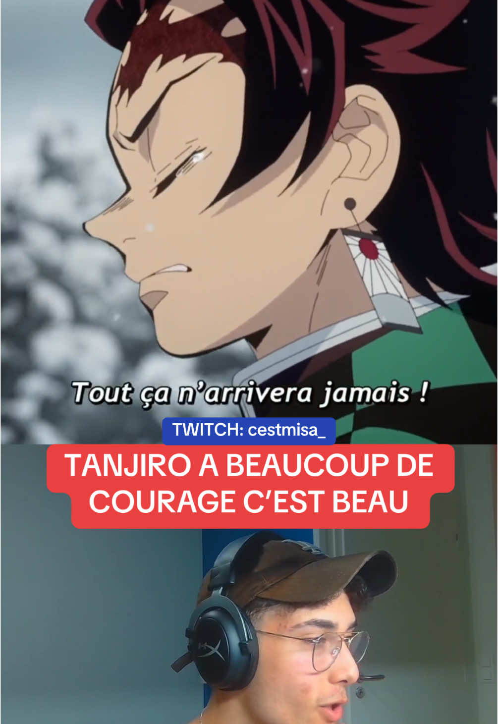 ‼️TWITCH: cestmisa_  Programme des lives sur DISCORD‼️ #kny #demonslayer #tanjiro #zenitsu ————————————————— ( ⚠️FAKE BODY ⚠️ ) [ ❌ FAKE BLOOD ❌ ]  { ⚠️ FAKE FIGHT ⚠️ } ©️: Demon Slayer, Koyoharu Gotouge (ufotable)