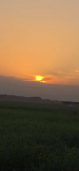 #غروب_الشمس💕✨ #الشاعر_ليث_العلي #دوسو_مرتين_على_الشاشه #تبعني_ليصلك_كل_جديد #ممكن_متابعه_فضلا_وليس_امرا #تصوير #الريف #شعب_الصيني_ماله_حل😂😂 