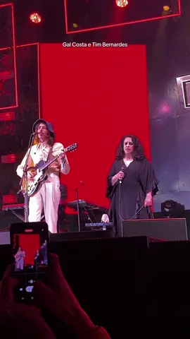 Coala Festival de 2022, foi a primeira vez que fui sozinho pra um  festival, só pela musica. Se eu soubesse que seria o ultimo show da Gal, teria filmado bem mais coisas ❤️ a voz do Tim é linda demais  #festival #coala #galcosta #timbernardes #show #fyp 