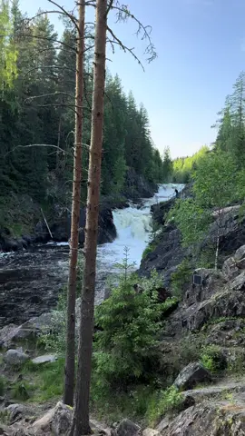 #природа #кайф #водопад#кивачкарелия #карелия #лес#какаякрасота 