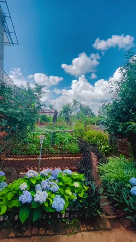 Tháng năm dài hay kề vai#xhuongtiktok #ngoinhago #cuocsongthuongngay #xhuong #xuhuongtiktokk 