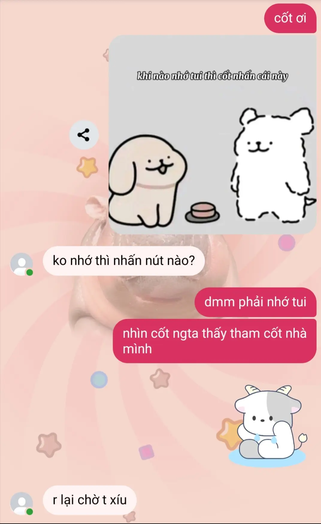có share ảnh ở ngoài sau ạ🩷🐣#xuhuonggg #dthw #cotdthw 