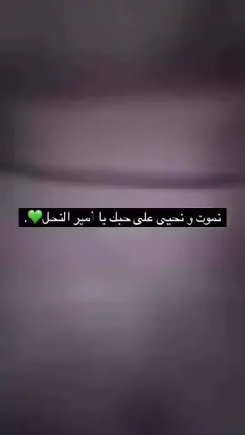 ذكر علي عبادة❤️#العلويين#الساحل#العلوي#ياعلي#سوريه#العلويين 