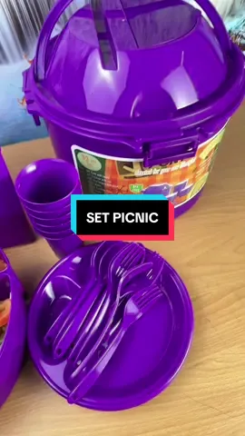 Ready picnic with family