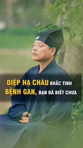 Loại cây lá nhỏ làm sạch lá  gan an toàn hiệu quả ngay tại nhà.  #Phucdaosinh #giaidocgan #matgan #viemgan #viemgan B #viemgansieuvi #xogan #tangmengan  #xuhuong  #fyp 