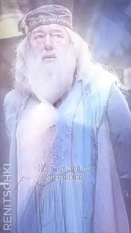 POV: Dumbledore ist ein Rapper 🤣🤣 #dumbledore #harrypotter #verarsche #funnytiktok #CapCut 