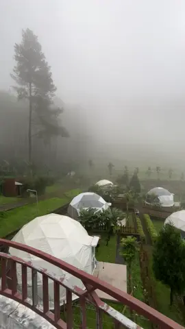 Negeri dongengnya malang🥶 #wisata #wisatamalang #glamping #embun #lembah #lembahindahmalang 