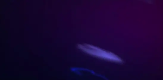 Em Là Nhất Miền Tây Remix #xuhuong #emlanhatmientayremix #nhachaymoingay #nhacchill #nhacnaychillphet🎶 #emlanhatmientay #chienmusic34 