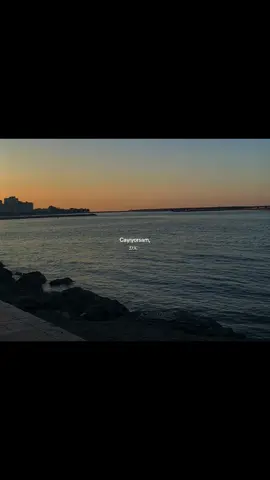 Haberin yok bedelinden… #keşfetbeniöneçıkar #viralvideo #viraltiktok 