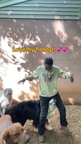 Love my big Penny so much!! #Fyp #Doglover #doggydaycarelife #dogsvideo #doggydaycare #k9cloud9 