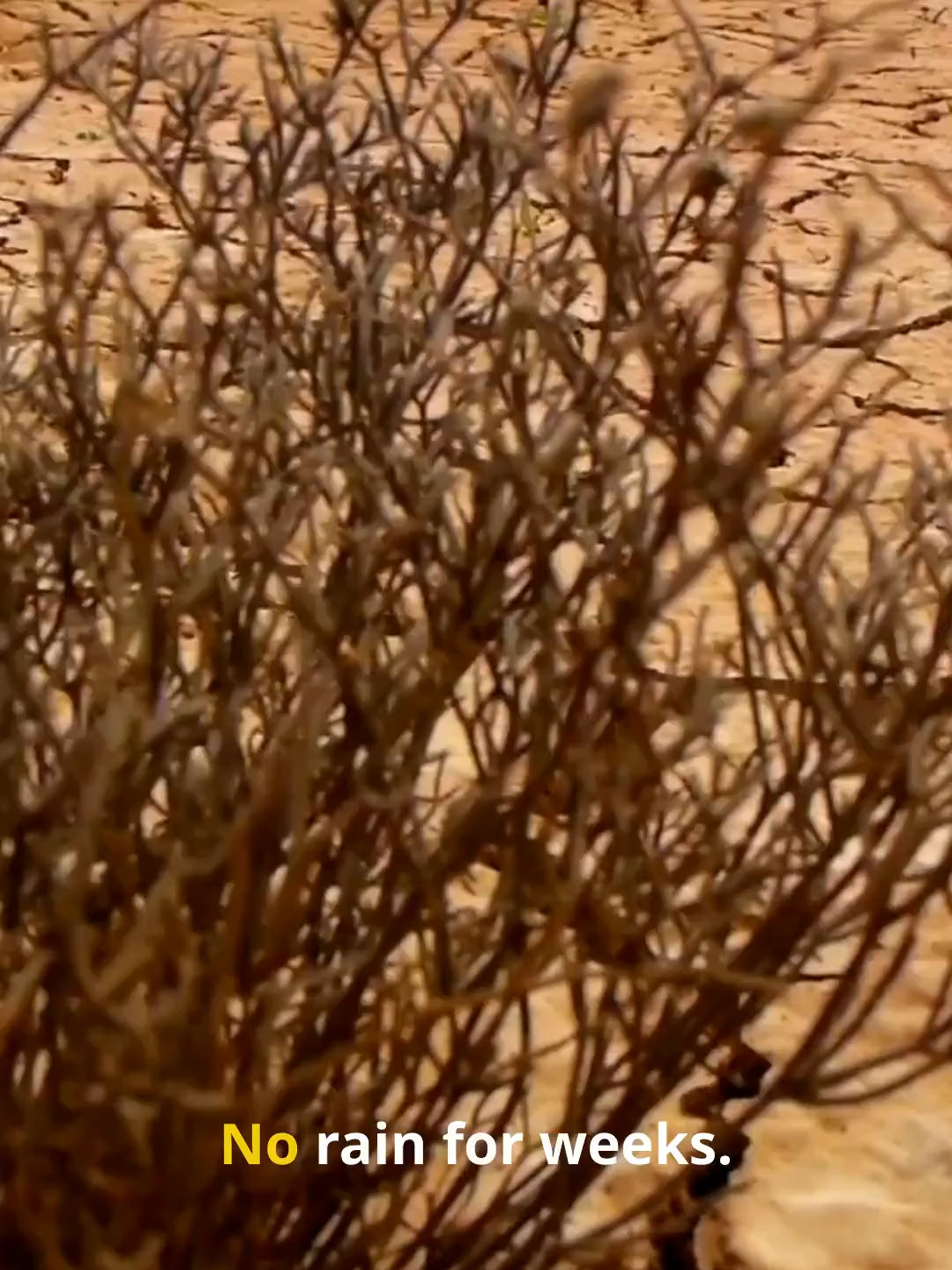 Drought – When the Earth Runs Dry #extremeweather #drought