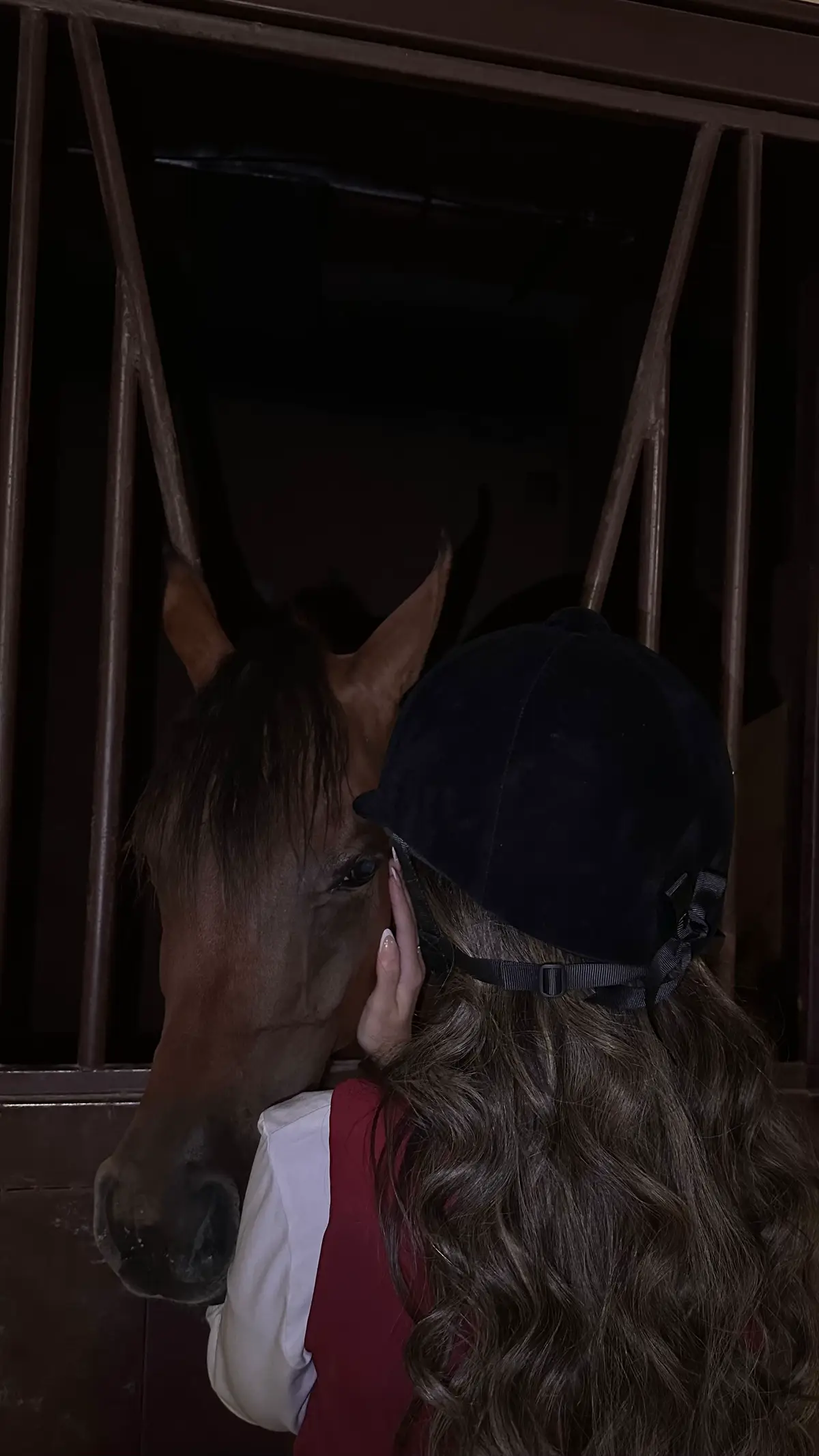 #riyadh #fypシ #foryou #explore #اكسبلور #خيل_وخياله🐎 