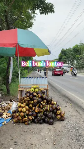 Buah lontar yey🫶 #lontar #viral 