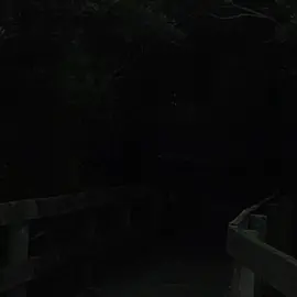 трек в тгк ссылка в профиле // #lyrics #футажиначерномфоне #трекидлявидео #вайбовыепесни #простимнемилаяпрости #всеобещанияспасти #легкуюдрожьхолодныхрук #сладкуюложьманящихгуб 