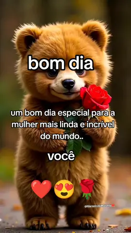#amor #euteamo  bom dia amor ❤️