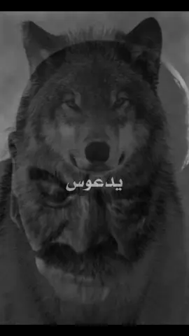 #فان_kvp #الذئاب_العجوز #kvp #fyp #🔥 #🐺 #CapCut 